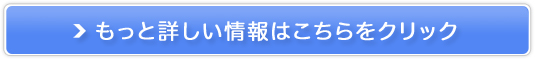 Lapidem tokyoisfgELEjXJvVv[̔TCg